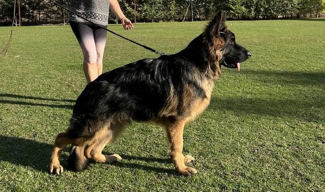 Ares Du Chemin De L'Odon