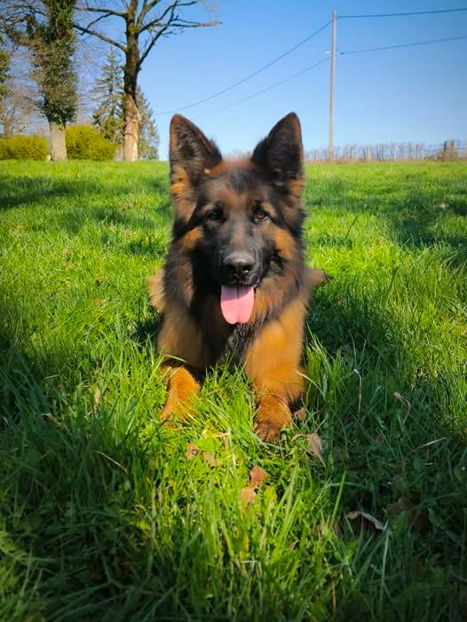 U'kiara du domaine de sanctae crucis